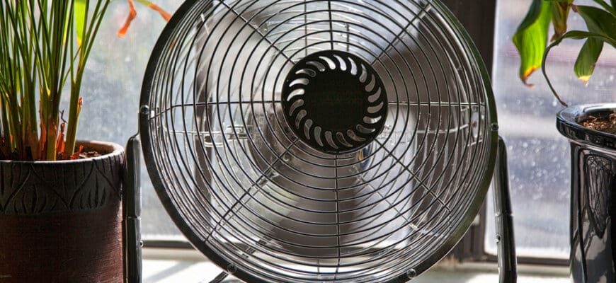 Fan,In,Motion,Between,Potted,Plants,Providing,A,Cool,Breeze