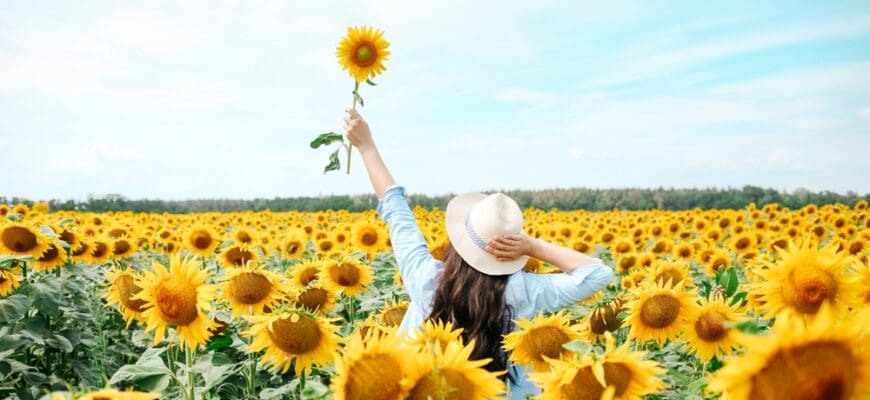 Woman,In,The,Sunflowers,Field.,Summer,Time.,Young,Beautiful,Woman
